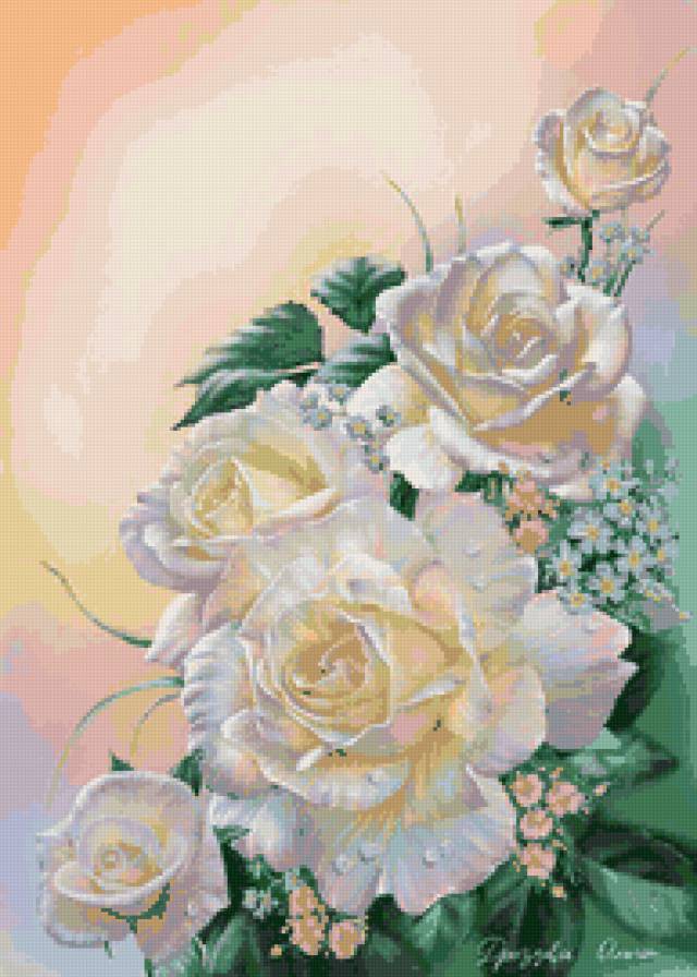 розы белые - цветы, розы, роза - предпросмотр