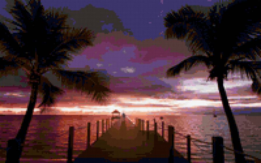 пальмы - море, лето, пальмы, природа - предпросмотр