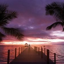 Схема вышивки «пальмы»