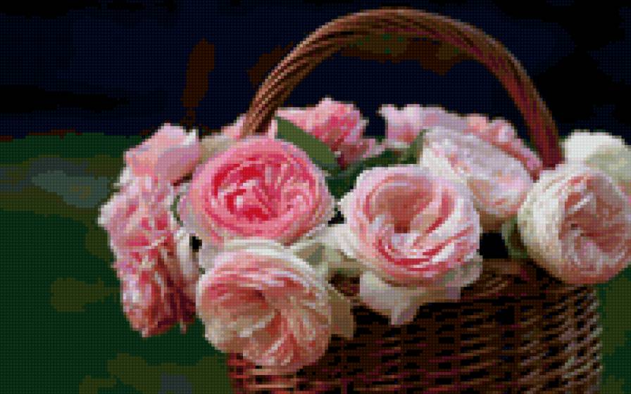 корзина роз - цветы, розы - предпросмотр