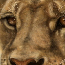 Схема вышивки «лев»