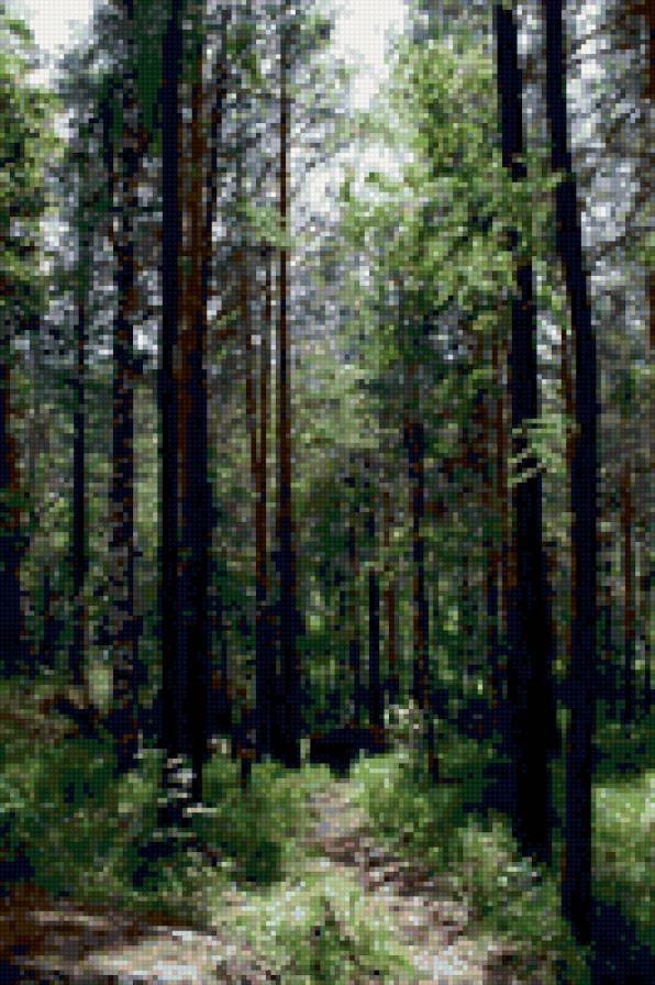 тропинка - предпросмотр