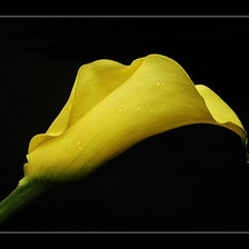 Схема вышивки «цветок»