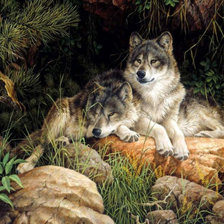 Схема вышивки «Волки»