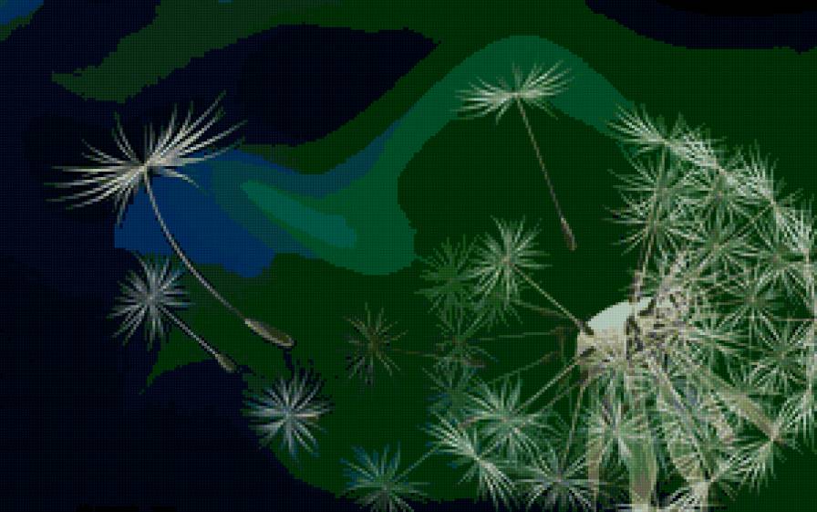 одуванчик - цветок - предпросмотр