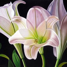 Схема вышивки «№72179»