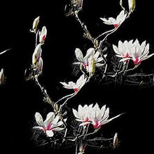 Схема вышивки «магнолия»