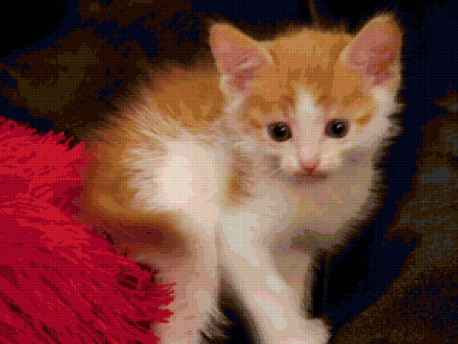 №72366 - предпросмотр