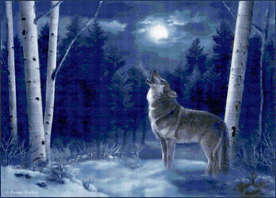 волк2 - луна, природа, волк, ночь - предпросмотр