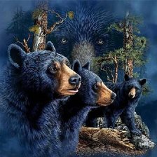 Схема вышивки «№72629»