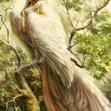 Схема вышивки «№72632»