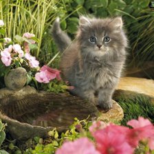 Схема вышивки «26»