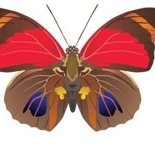 Схема вышивки «№72751»