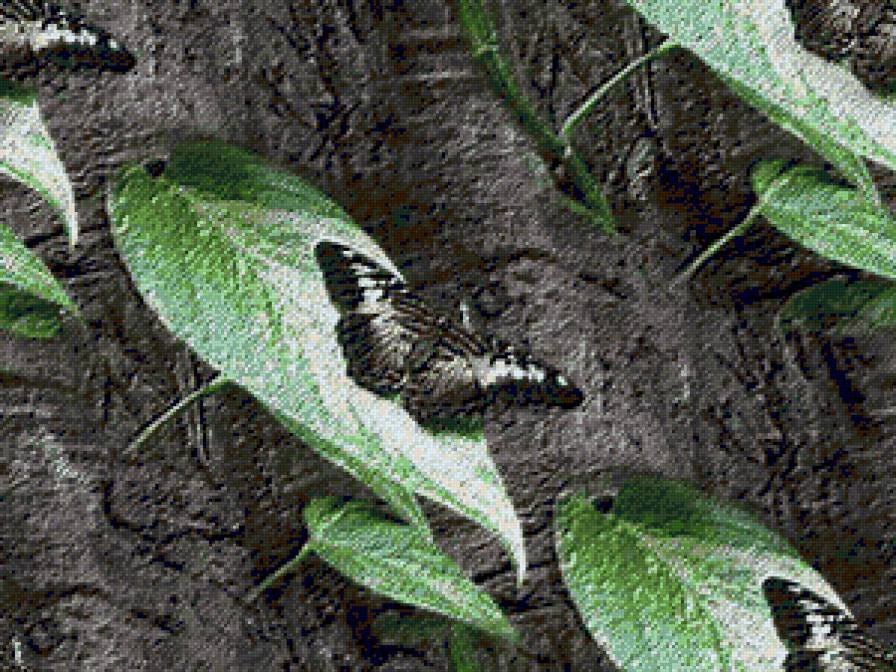 №72755 - подушки, бабочки, подушка, насекомые, листья - предпросмотр