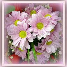 букет цветов