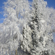 Схема вышивки «зима»