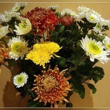 Схема вышивки «№72844»