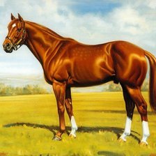 Схема вышивки «№72856»