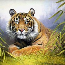 Схема вышивки «Тигр»