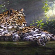 Схема вышивки «Леопард»