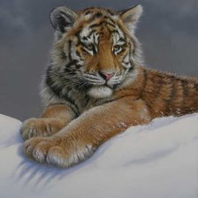 Схема вышивки «Тигр на снегу»