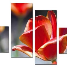 Схема вышивки «ТЮЛЬПАНЫ»