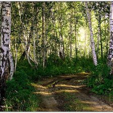 Схема вышивки «Лесная тропа»