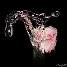 Схема вышивки «роза»