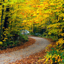 Схема вышивки «№73297»