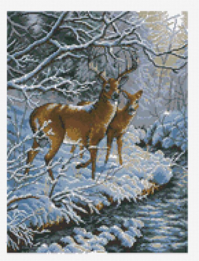 Олени - река, пейзаж, зима, олени, животные - предпросмотр