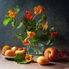 Схема вышивки «№73444»