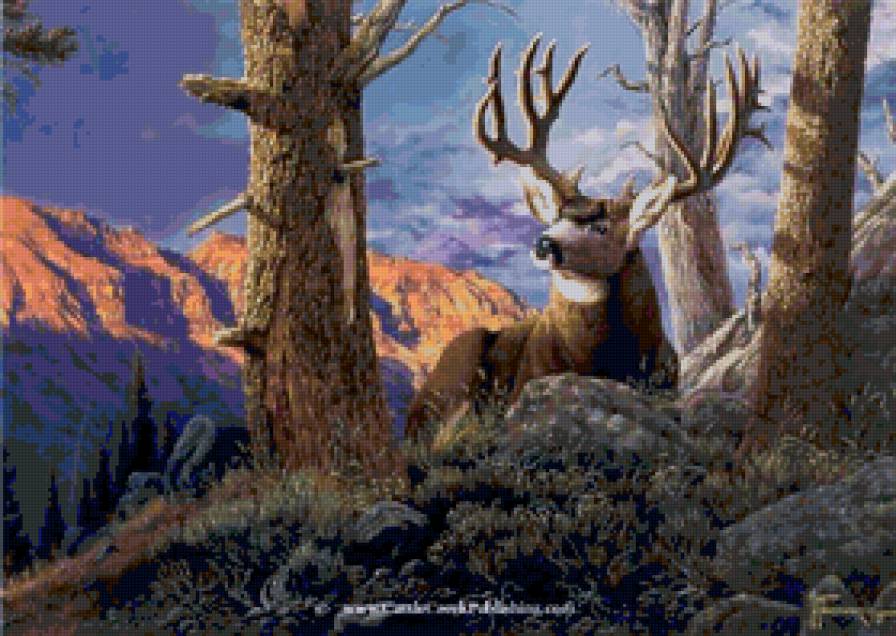 Олень - лес, олень, животные - предпросмотр