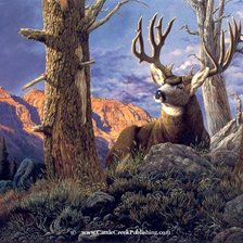 Схема вышивки «Олень»