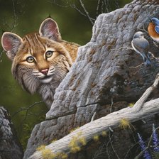 Схема вышивки «Рысь и птички»