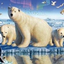 Схема вышивки «Белые мишки»