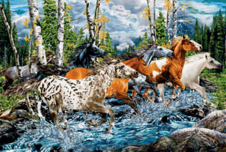 Лошади - животные, конь, лошадь - предпросмотр