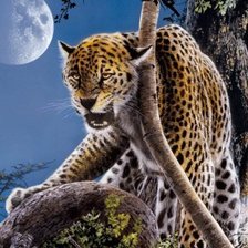 Схема вышивки «Ярость»