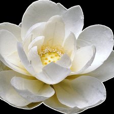 Схема вышивки «№73632»