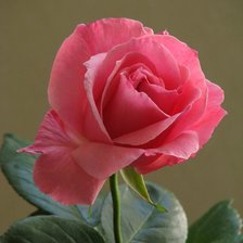 Схема вышивки «№73634»