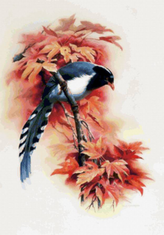 Серия ПТИЦЫ - природа, птица - предпросмотр