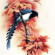 Серия ПТИЦЫ