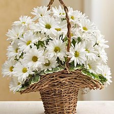 Схема вышивки «Ромашки»