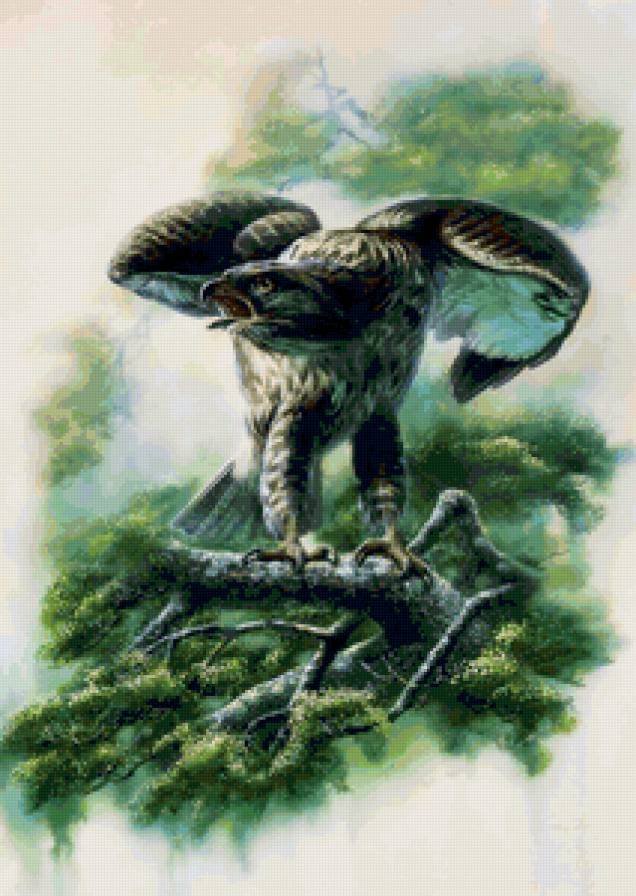 Серия ПТИЦЫ - птица, природа - предпросмотр