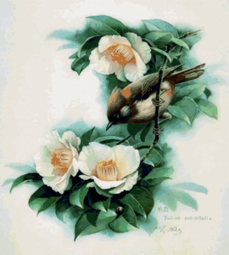 Серия ПТИЦЫ - цветы, птица, природа - предпросмотр