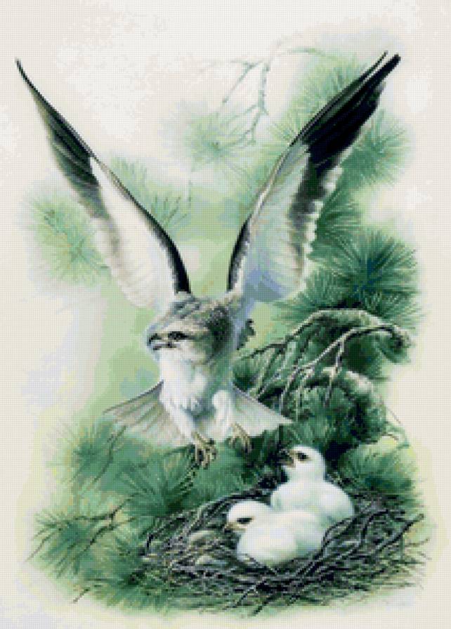 Серия ПТИЦЫ - семья, птица, природа - предпросмотр