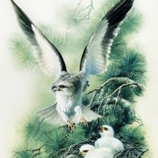 Схема вышивки «Серия ПТИЦЫ»