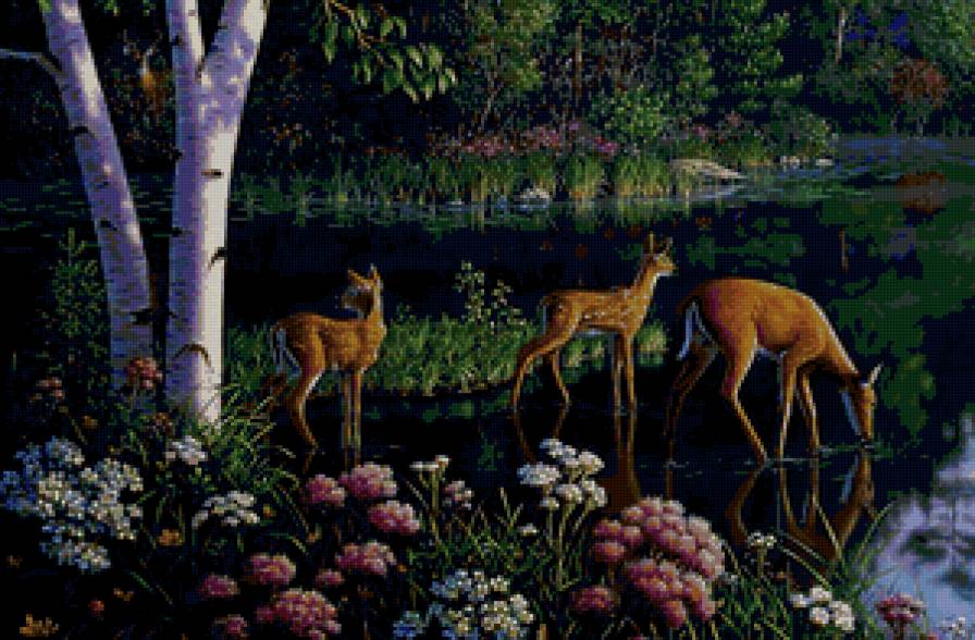 Kim Norlien - животные, лес, олень - предпросмотр