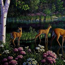 Схема вышивки «Kim Norlien»