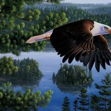 Схема вышивки «Kim Norlien»