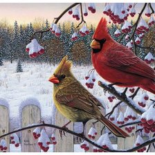 Схема вышивки «Kim Norlien»